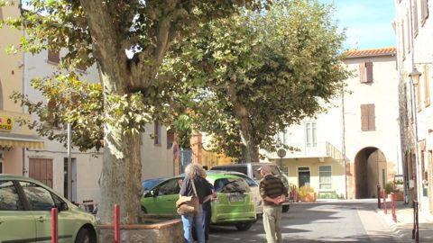 Pour tout savoir sur l’actualité du chancre coloré du platane, avec un tour d’horizon international… rendez-vous en septembre à la SNHF, à Paris. ©P. Fayolle 